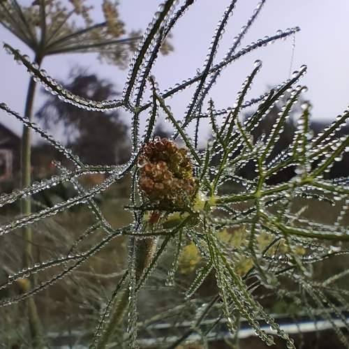 Photo #9532089