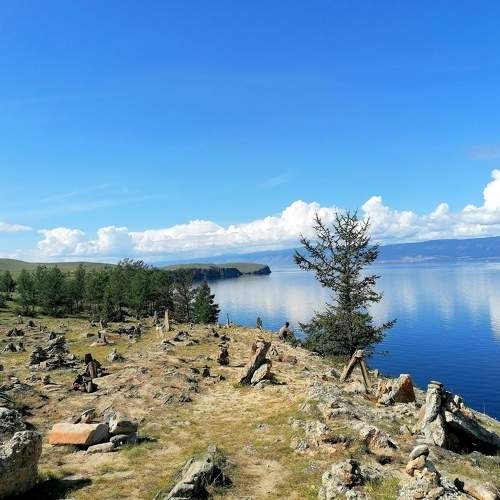 Photo #9532137