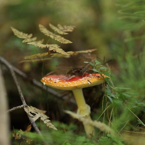 Photo #9532157