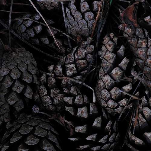 Photo #9532165