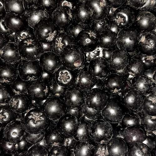 Photo #9532166
