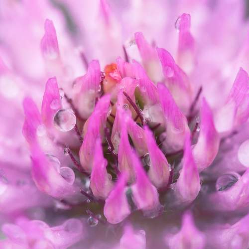 Photo #9532410