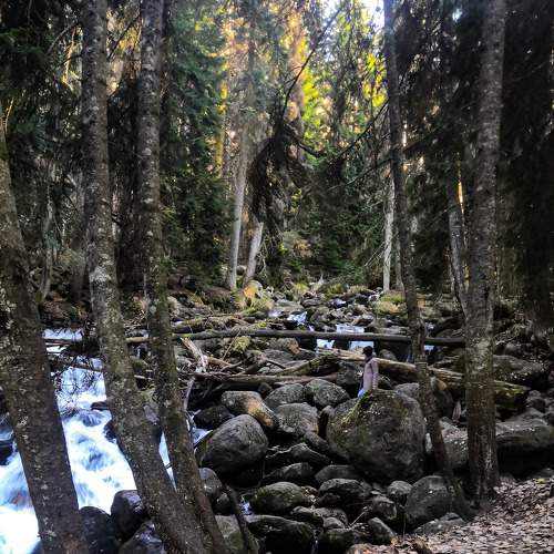 Photo #9532472