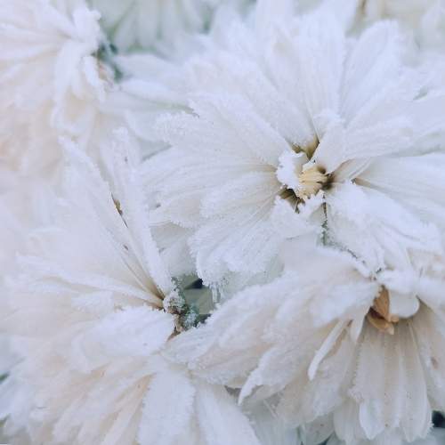 Photo #9532811