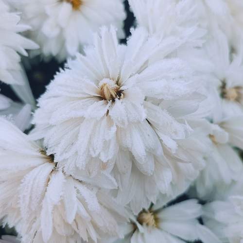 Photo #9532812