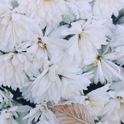 Photo #9532813