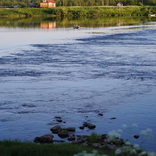 Photo #9533094