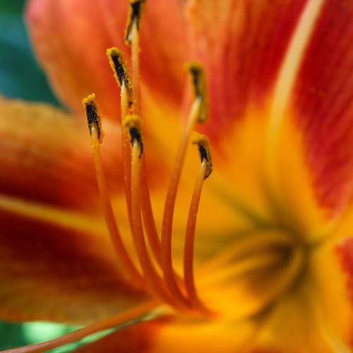Photo #9533461