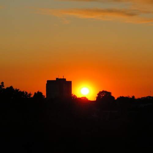 Photo #9533702