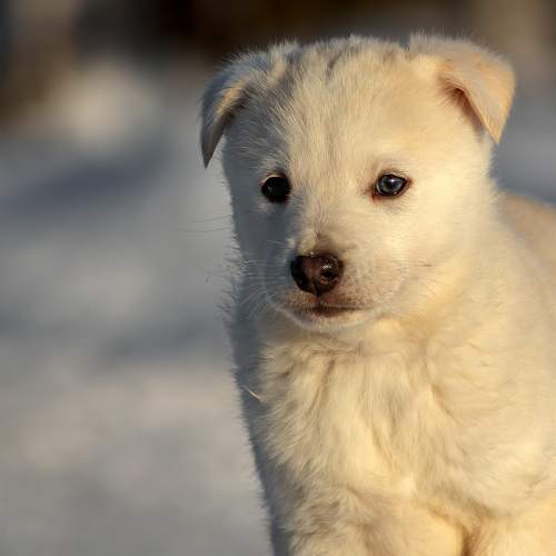 Photo #9533930