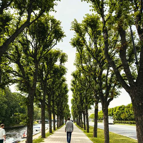 Photo #9534304