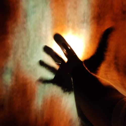 Photo #9534830