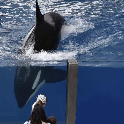 Фотография #9535023