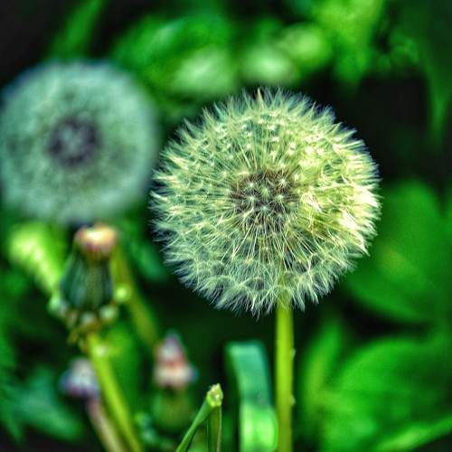 Photo #9535065