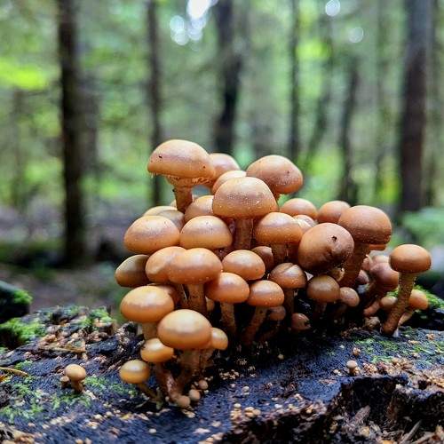 Photo #9535114