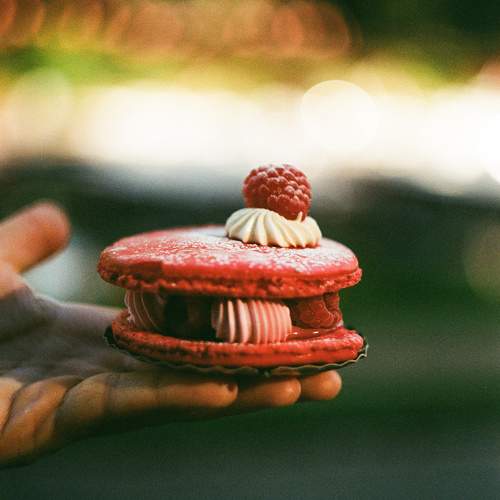 Photo #9535288