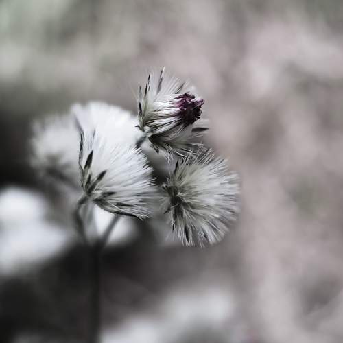 Photo #9535468