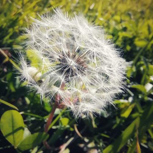 Photo #9535769