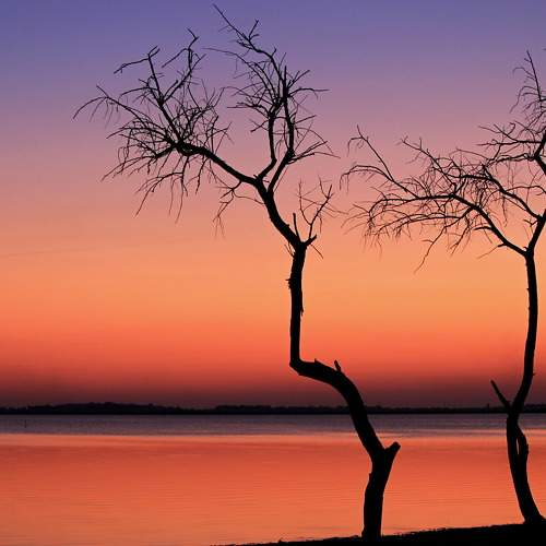 Photo #9535973