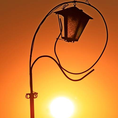 Photo #9535984