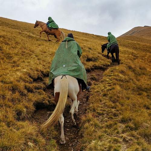 Photo #9536198