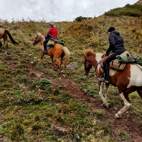 Photo #9536199