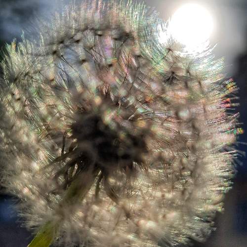 Photo #9536253