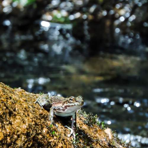 Photo #9536390