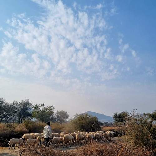 Photo #9536502