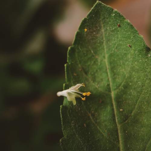 Photo #9536565
