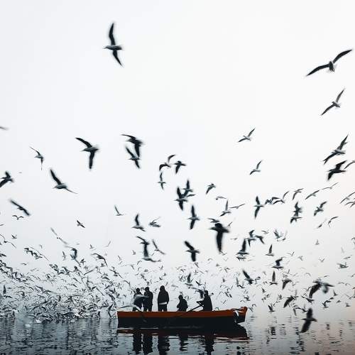 Photo #9536707