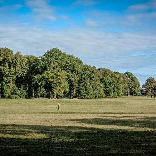 Photo #9536812