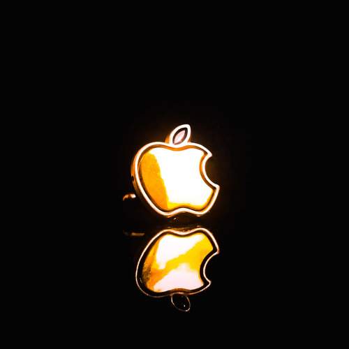 Photo #9536994