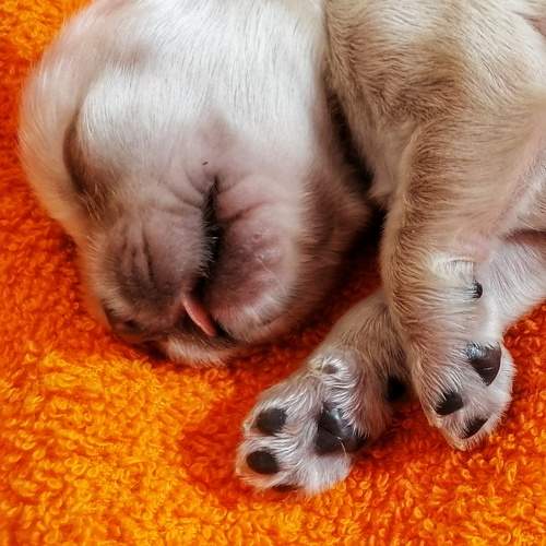 Photo #9537024