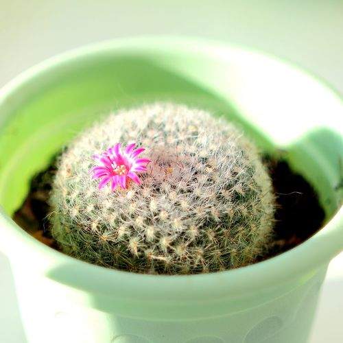 Photo #9537576
