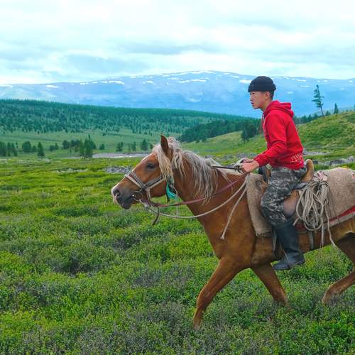 Photo #9537700