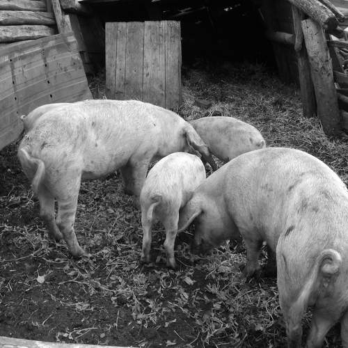 Photo #9538080
