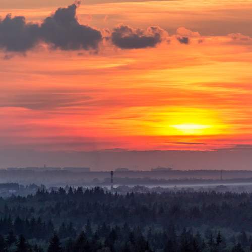 Photo #9538388