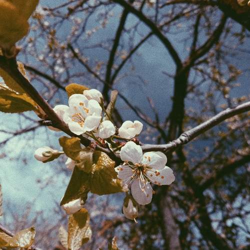 Photo #9538836