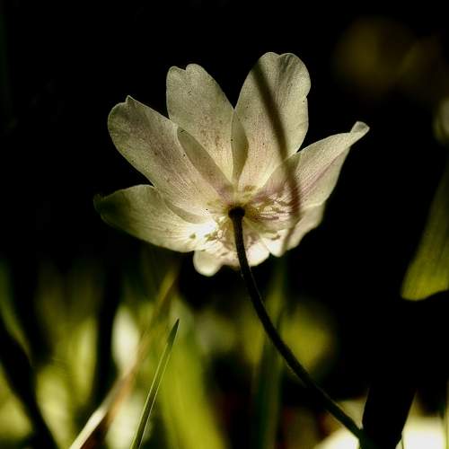 Photo #9539170
