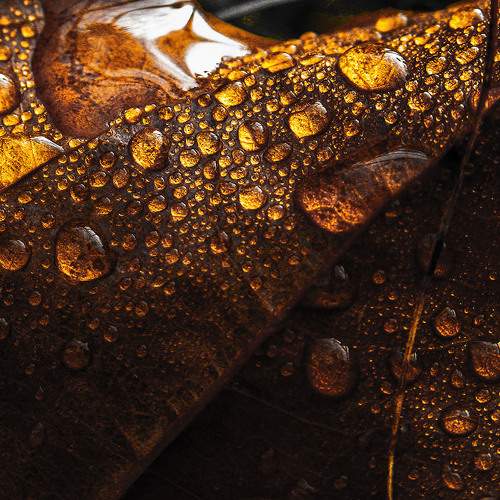 Photo #9539189