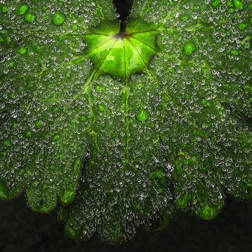 Photo #9539190