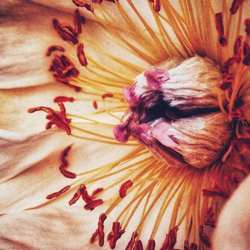 Photo #9539230