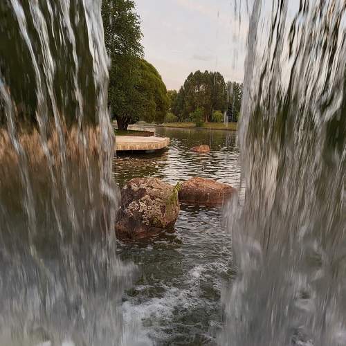 Photo #9539596