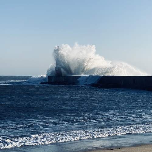 Photo #9539715