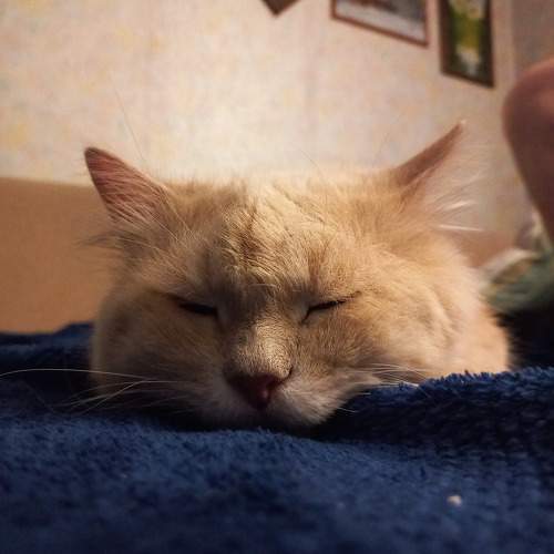Photo #9539762