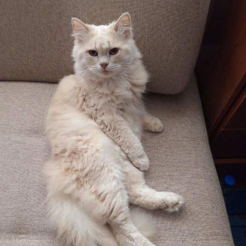 Photo #9539768