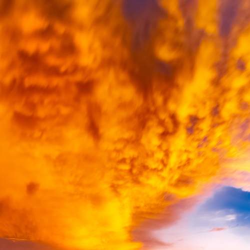 Photo #9539794