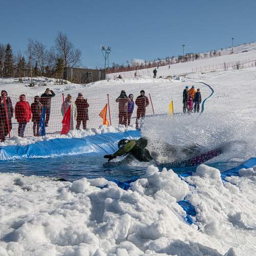 Photo #9540264