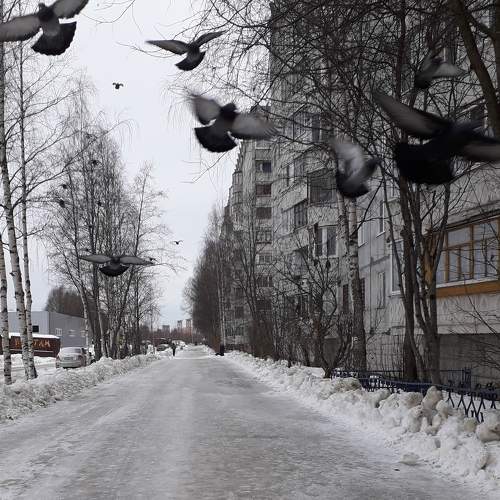 Photo #9540743